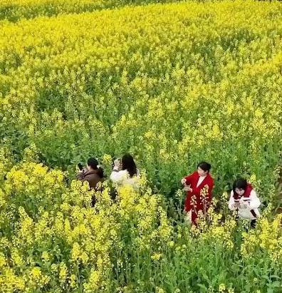 科技护航田间管护